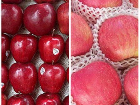 Cầm trái cây nhập khẩu là phải xem ngay những con số này rồi hãy quyết định mua-4