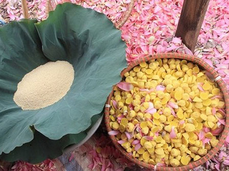 Loại trà đắt nhất thế giới được mệnh danh quốc bảo của Trung Quốc, giá lên tới 30 tỷ/kg-3