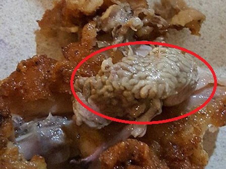 KFC tiếp tục khiến khách hàng kinh hãi vì vật thể lạ như... bộ não trong thịt gà rán