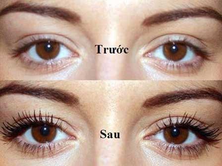 Hỗn hợp “thần thánh” giúp lông mi dài và dày gấp đôi chỉ sau 2 tuần sử dụng
