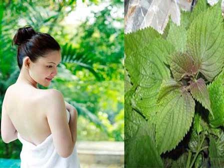 Tự làm hỗn hợp tắm trắng siêu tốc, hiệu quả tuyệt đối bằng lá tía tô