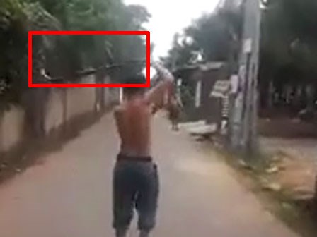 Rùng mình clip người đàn ông tay không bắt rắn hổ mang giữa phố