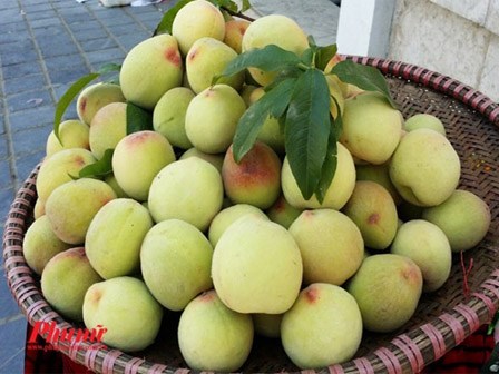 Quả đào ăn ngon miệng, nhưng liệu có phải là tiên dược?