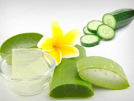 5 cách làm trắng da mặt bằng nha đam mà phụ nữ nào cũng phải biết