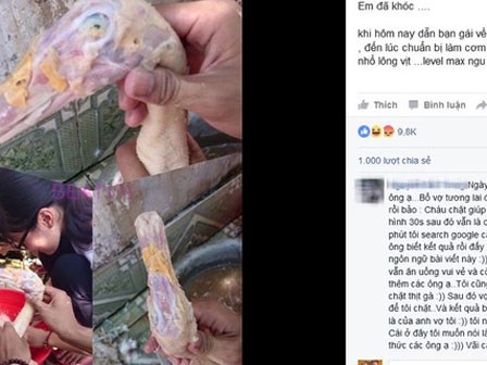 Nhổ lông trụi cả đầu vịt trong ngày 