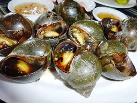Con vật nhỏ bé nhưng đáng sợ trong tôm, cua, ốc có thể tàn phá phổi của bạn