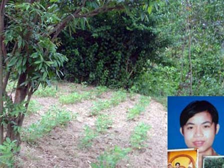 Mẹ tổ chức đám tang, lập mộ dù con trai... đang sống