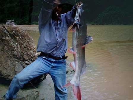 Ngư dân câu được cá mặt trăng dài 1 m-2