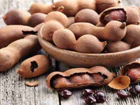 Thần dược quý hơn vàng cho sức khỏe mà ai cũng đang ném đi