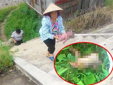 Phát hiện bé trai sơ sinh còn nguyên dây rốn trần truồng nằm úp trong vườn rau