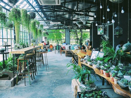 Hà Nội có hàng ngàn quán cafe, nhưng muốn tìm an yên phải đến 8 quán này