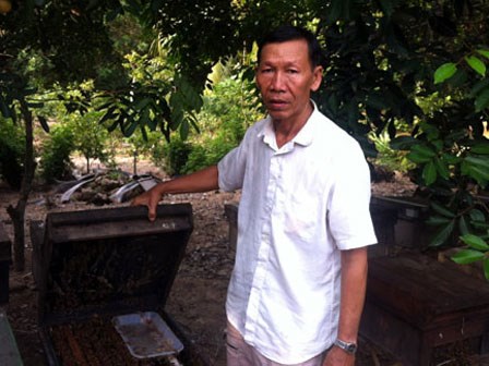 Hiểu ong như con, mỗi năm bán mật lãi bạc tỷ