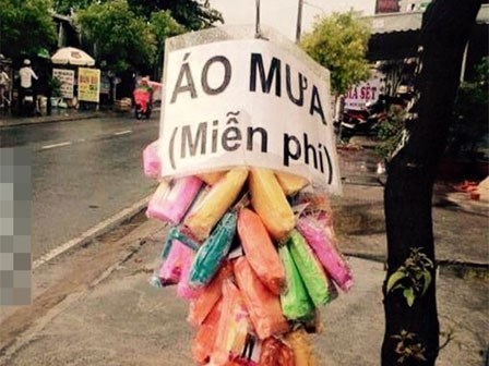 Bức hình khiến người ta cảm thấy ấm lòng trong ngày mưa gió