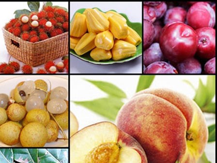 Càng ăn càng nổi mụn, dù thèm đến mấy không nên ăn những loại quả này