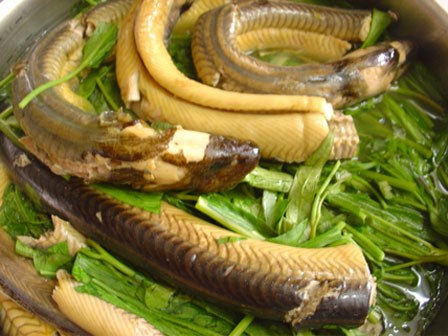 Ăn thịt lươn không đúng cách rất dễ nhiễm ký sinh trùng