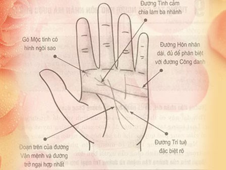 Kiểu bàn tay có hôn nhân hạnh phúc và  tiền đếm mỏi tay không hết