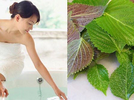 Tiết kiệm tối đa mà vẫn hiệu quả bất ngờ nhờ tắm trắng từ lá tía tô