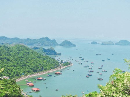 Cát Bà - Hòn 