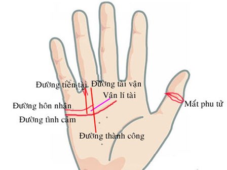 Phụ nữ có tướng tay này tình, tiền đều viên mãn
