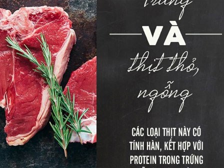 Ai hay ăn trứng thì nhớ đừng dùng chung với các món này kẻo hại ruột