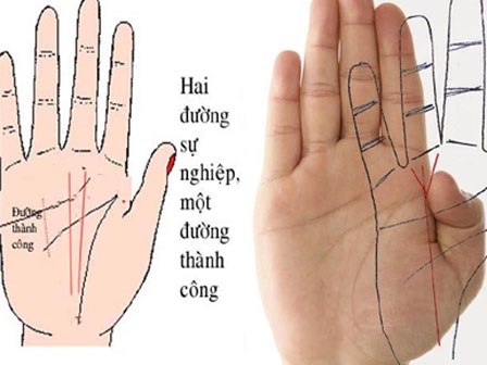 Sở hữu những đặc điểm này bạn yên tâm cứ kinh doanh là có lộc