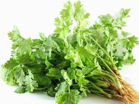 6 thực phẩm giúp cơ thể giải độc kim loại nặng