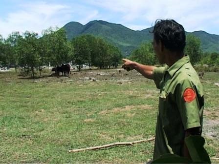 Chồng xót xa ôm thi thể vợ sau khi bị bò húc tử vong