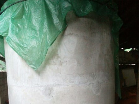 Đổ thuốc sâu vào bể nước đám cưới