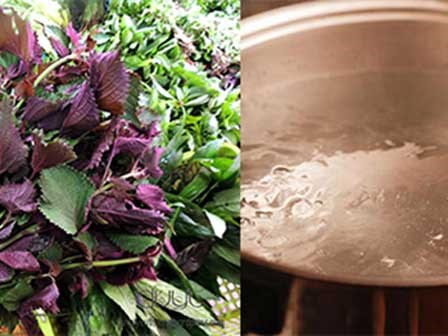 Chỉ với 1 nồi nước tía tô, da đen bẩm sinh cũng bật tone nhanh chóng