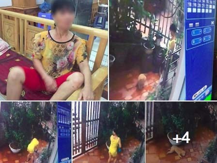 Xem camera, chủ nhà tá hỏa khi biết người giúp việc nhẫn tâm giết chết 2 chú chó Poodle