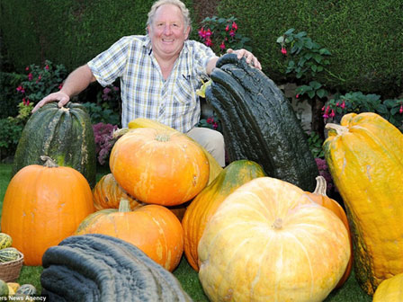 Có gì bên trong khu vườn chỉ cần chạm vào 1 chiếc lá cũng có thể chết người?-4