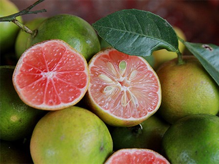 Hầu hết chị em sẽ ra chợ mua cả cân chanh khi biết những công dụng này