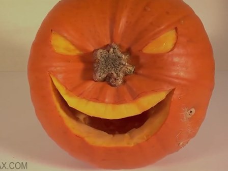 Những cách đơn giản để chạm khắc bí ngô siêu ngộ nghĩnh cho ngày Halloween