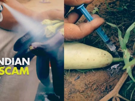 Sự thật kinh hoàng đằng sau những mớ rau tươi rói khiến người tiêu dùng hoang mang tột độ