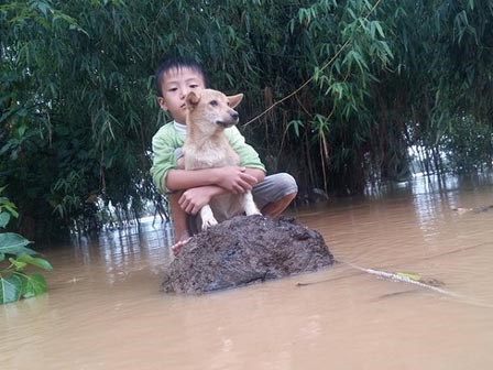 Cậu bé 6 tuổi bật khóc vì bơi ra dòng nước lũ cứu chú chó nhỏ nhưng không thể vào bờ