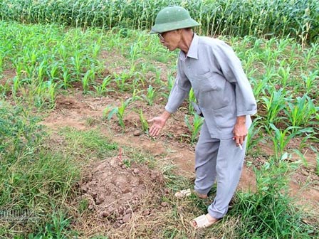 Ngã bổ chửng vì nghĩa trang mọc sát nách