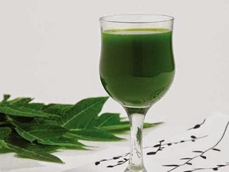 Bỏ tây y, bệnh nhân ung thư uống cả tạ lá đu đủ và cái kết đắng lòng