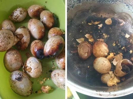 Lại thêm món trứng luộc cháy đen sì của mẹ bỉm sữa khiến dân tình ngán ngẩm
