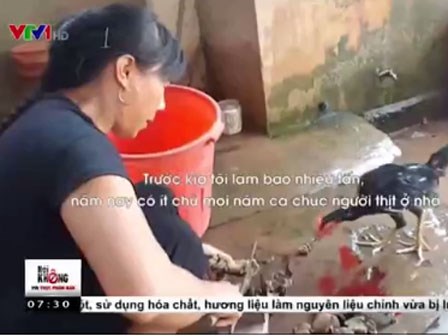 Nguy cơ tử vong khi ăn phải thịt cóc chế biến không đảm bảo vệ sinh
