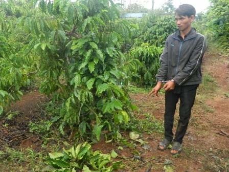 Bắt khẩn cấp em chồng đồi bại hiếp dâm chị dâu
