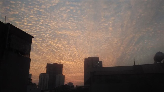 Cảnh tượng hiếm có của tháng 12