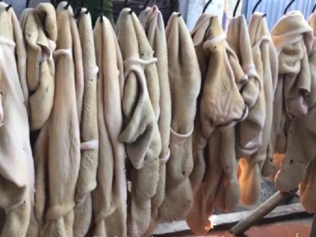 Nội tạng bò ngâm hóa chất trước khi mang bán-2