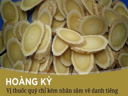 Biết 10 tác dụng kỳ diệu của cây dại này, bạn sẽ không cần phải 