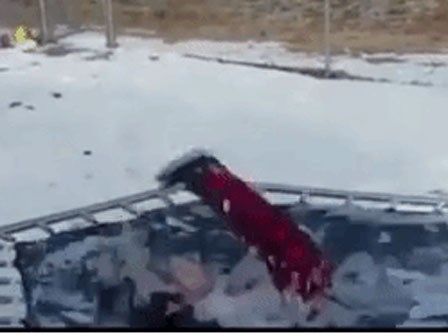 Cô bé 4 tuổi bất ngờ nổi tiếng sau cú nhảy ngoạn mục