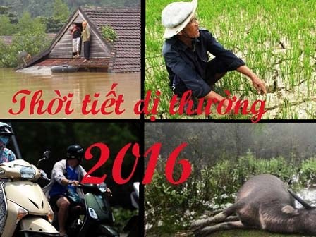 Những hiện tượng thời tiết quái đản, dị thường năm 2016