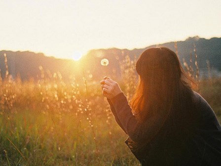 Nhìn lại một năm đầy biến động của 12 cung Hoàng đạo