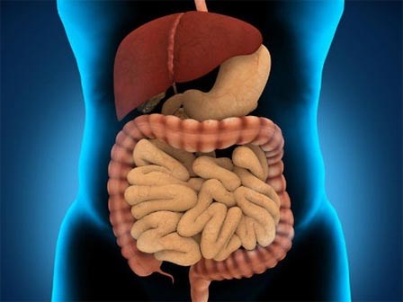 Những thực phẩm giúp làm sạch đại tràng