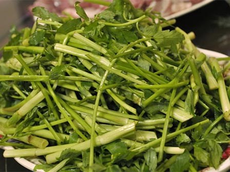 Rau cần – “thần dược” chữa bách bệnh bạn không ngờ tới