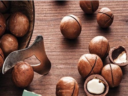Vì sao tết này bạn nên mua hạt mắc ca về ăn dù đắt hay rẻ?