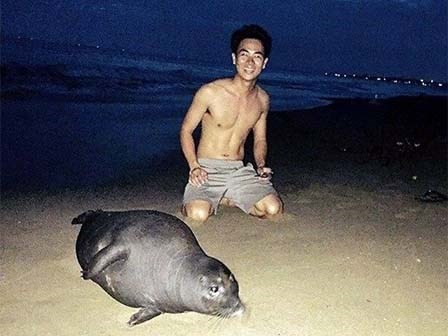 Hải cẩu bị đánh chết và nỗi oan của người dân Phan Rí Cửa